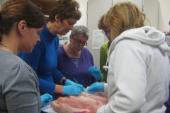 vaardigheidsonderwijs_doktersassistenten_16_20110117_1322361011