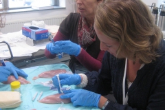 vaardigheidsonderwijs_doktersassistenten_20_20110117_1425179947