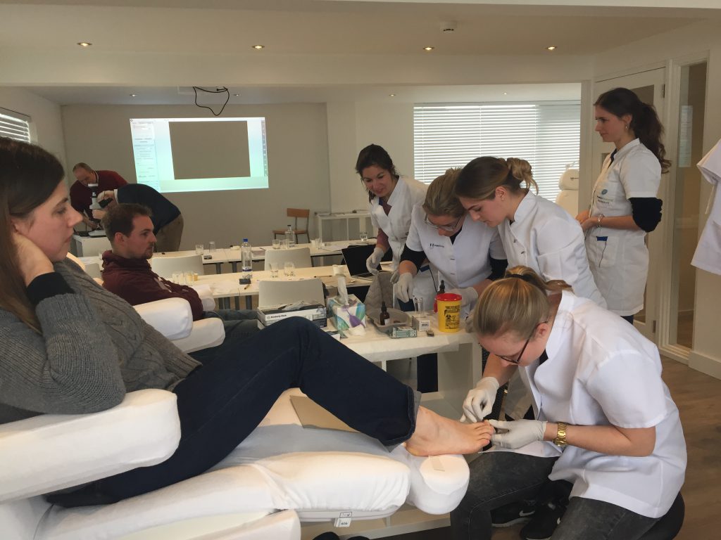 betere-schimmel-1024x768